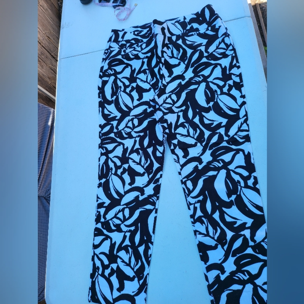 Fashion and fun chico's pants.
